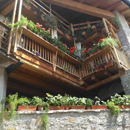 La Cort Di Nonna Rosa Bed & Breakfast Mori Bagian luar foto